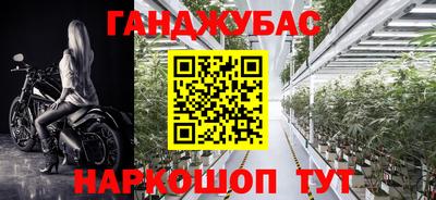 стаф Свободный