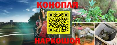 стаф Свободный